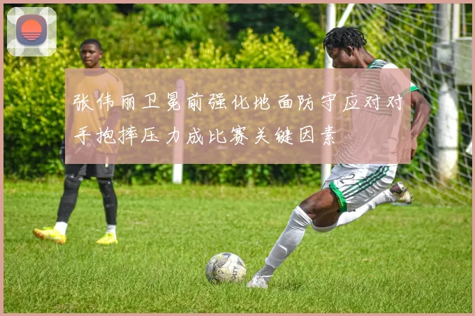 张伟丽卫冕前强化地面防守应对对手抱摔压力成比赛关键因素
