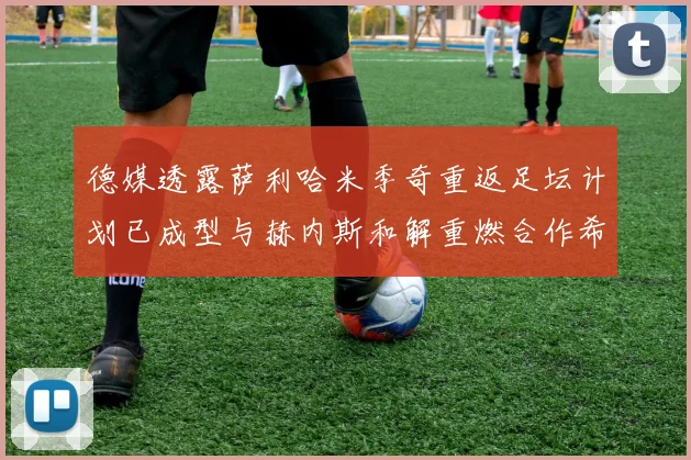 德媒透露萨利哈米季奇重返足坛计划已成型与赫内斯和解重燃合作希望